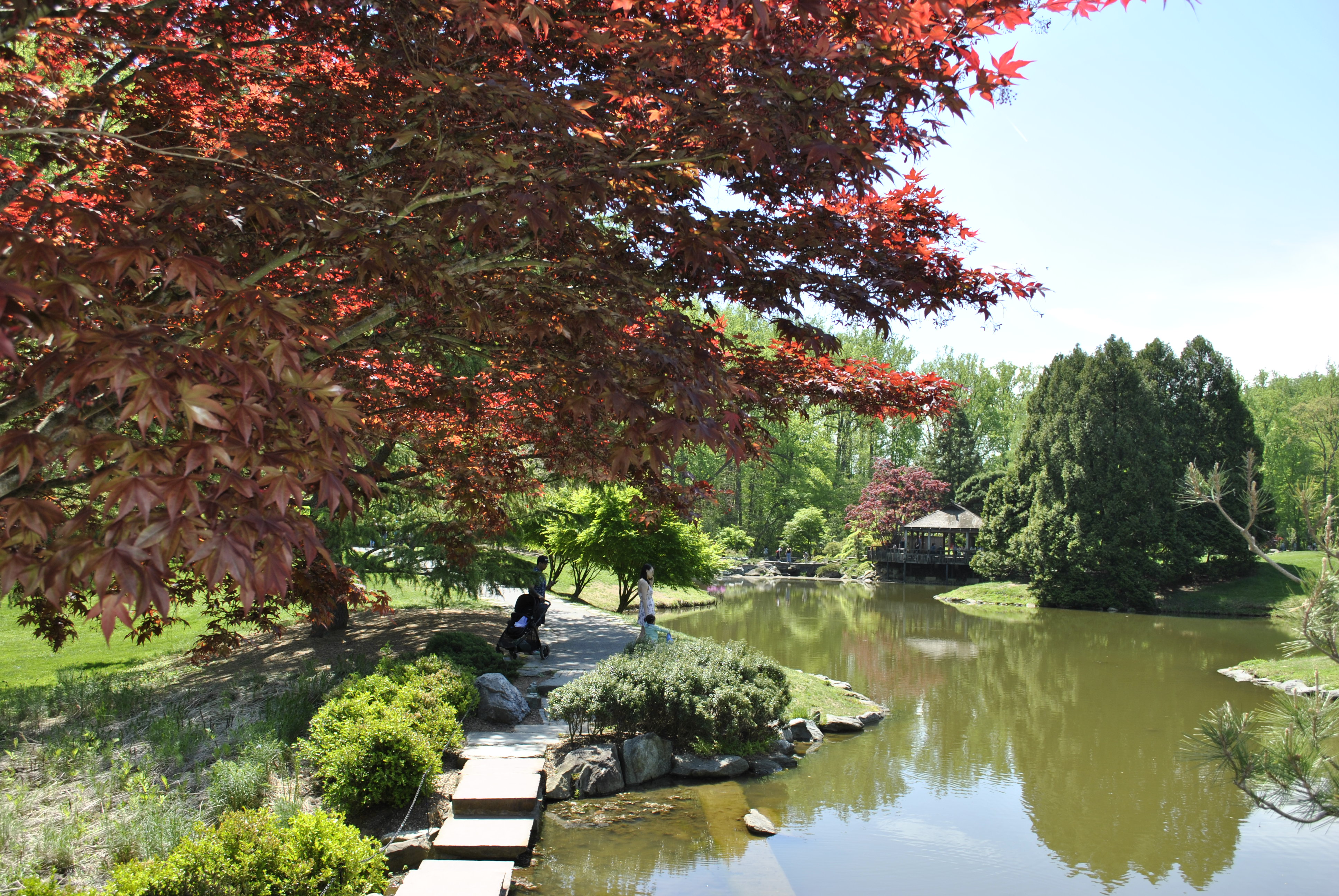 Brookside Gardens